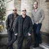 Pixies: "Ein Pixie springt nicht ins Publikum"