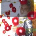 DVD-Reihe - Musikvideos, die Geschichte machten