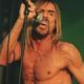 The Stooges - Tourbus vor Hotel geklaut