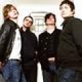 Babyshambles - Gitarrist Mick Whitnall verhaftet