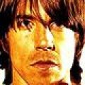 RHCP - Soloprojekte und TV-Karriere