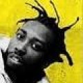 Lesebefehl - Leben und Tod des Ol' Dirty Bastard