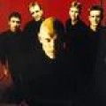 Midnight Oil - Fusion mit Violent Femmes