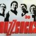Videopremiere - The Buzzcocks live im Paradiso