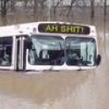 Doubletime - Di Bus Can't Swim!