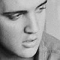 Hologramme - Elvis, Jacko und Whitney wieder auf Tour