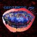 Animal Collective - 