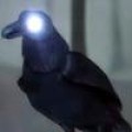 Steven Wilson - Video zu 