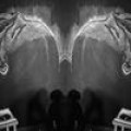 The National - Neues Video zu 