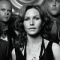 Schwedenrock-Beef - The Cardigans verklagen The Hives