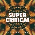 The Ting Tings - Exklusiver Albumstream
