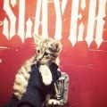 Metalsplitter - Das Metalfest der Volksmusik