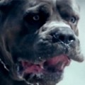 Foals - Neuer Clip zu 