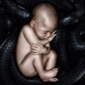 Vorchecking - Azad, Daughter, Unantastbar