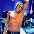 Iggy Pop - "Post Pop Depression" im Stream