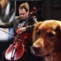 Laurie Anderson - Konzert im Doggystyle