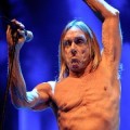 Schuh-Plattler - Iggy Pop covert Joy Division