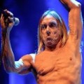 Schuh-Plattler - Iggy Pop covert Joy Division