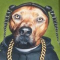 Doubletime - Wer heulen will, hört keinen Rap