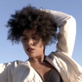 Jungle - Neue Videos 