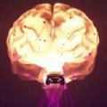 Muse - 