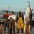 Mike Will Made It - Neuer Clip mit ScHoolboy Q, 2 Chainz und Eearz