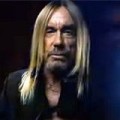 Iggy Pop - Neues Video zu 