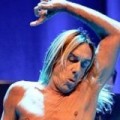 Iggy Pop - Echsenvideo von Mac DeMarco