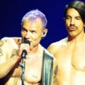 RHCP - Fleas Buch 