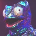The Masked Singer - Didi, kein Doppelgänger
