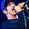 Vorchecking 2021 - Album-Highlights im Überblick
