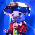 The Masked Singer - Schwein gehabt beim Staffelauftakt