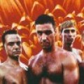 Metalsplitter - Rammstein verkaufen Kokain Gold