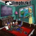 Schuh-Plattler - Erwiesen: Limp Bizkit still sucks!