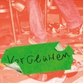 Buchkritik - Jan Müller und Rasmus Engler - "Vorglühen"