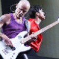 Red Hot Chili Peppers - Single würdigt 