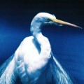 Best of 1992 - 30 Jahre, 30 Songs