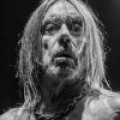 Iggy Pop - Neuer Song 