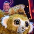 The Masked Singer - Die Finalist*innen stehen fest