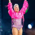 Pink - Rammstein-Lobeshymne geht schief