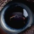 Roger Waters - Neue Version von 