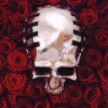 Best of 2004 - 20 Jahre, 20 Alben