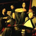 Mother Tongue - Vibes gegen den Virus
