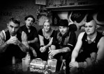 Broilers