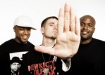 Cunninlynguists