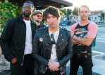 Plain White T's