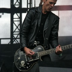 Stein Dr. Solido