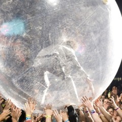 The Flaming Lips.