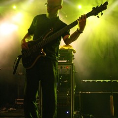Cynic