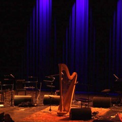 Joanna Newsom in Zürich.